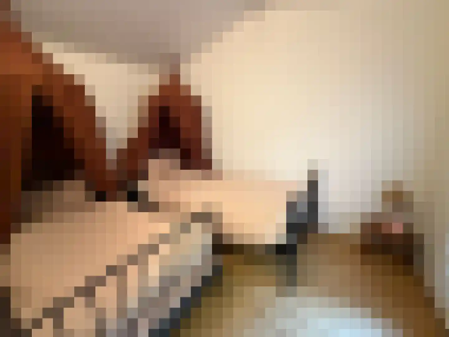Hanendorperweg 512 067 Emst thumbnail 31