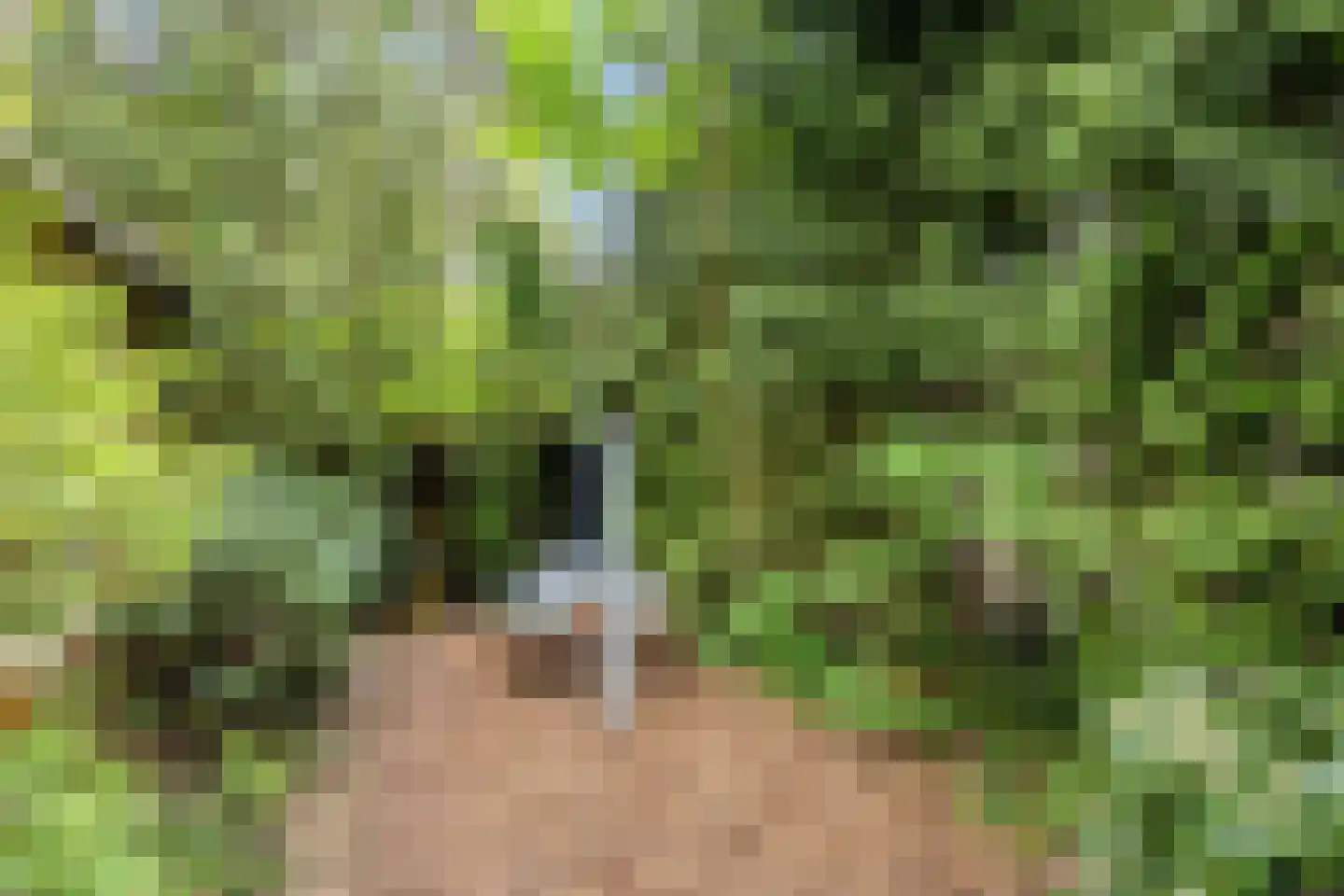 Hanendorperweg 512 067 Emst thumbnail 34
