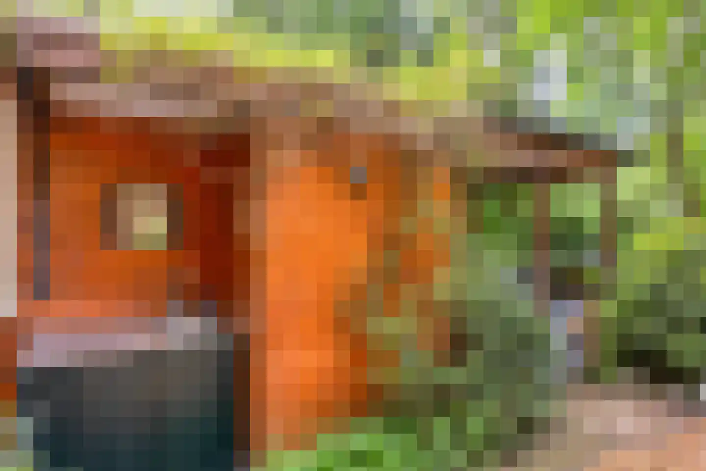 Hanendorperweg 512 067 Emst thumbnail 35