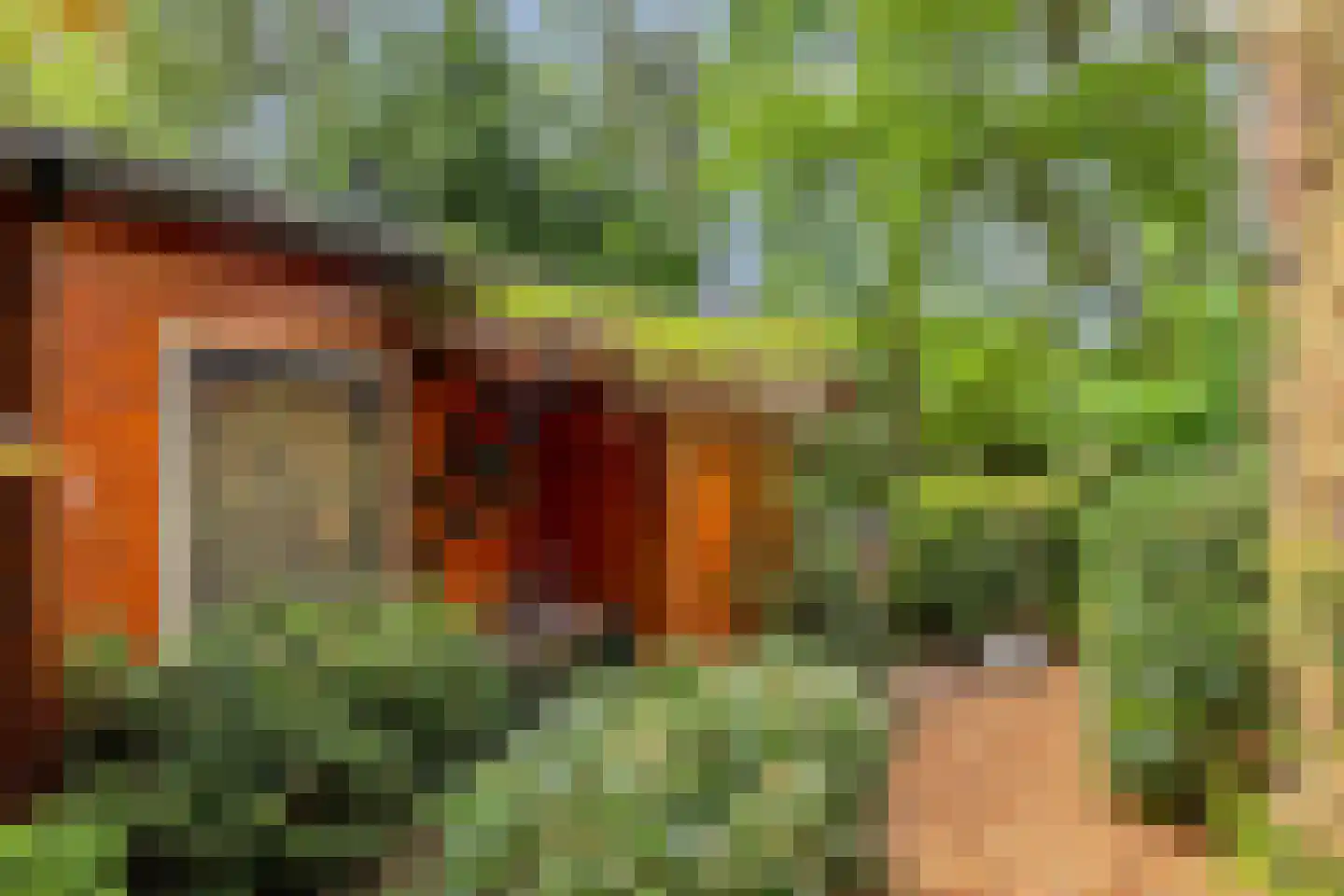 Hanendorperweg 512 067 Emst thumbnail 36