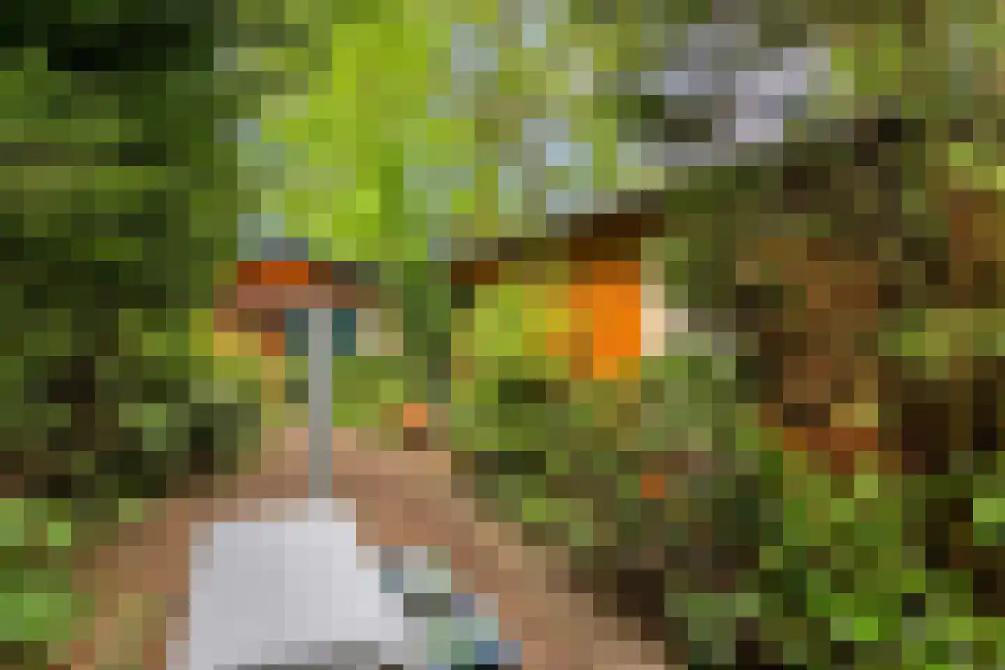 Hanendorperweg 512 067 Emst thumbnail 37