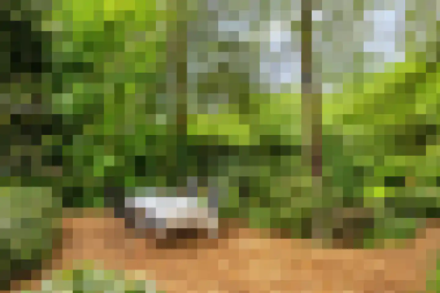 Hanendorperweg 512 067 Emst thumbnail 38