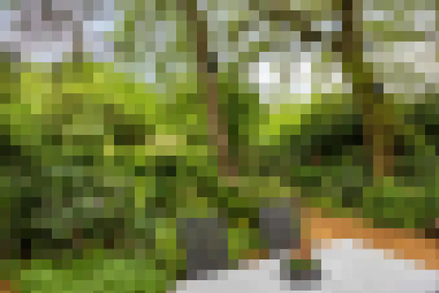 Hanendorperweg 512 067 Emst thumbnail 39