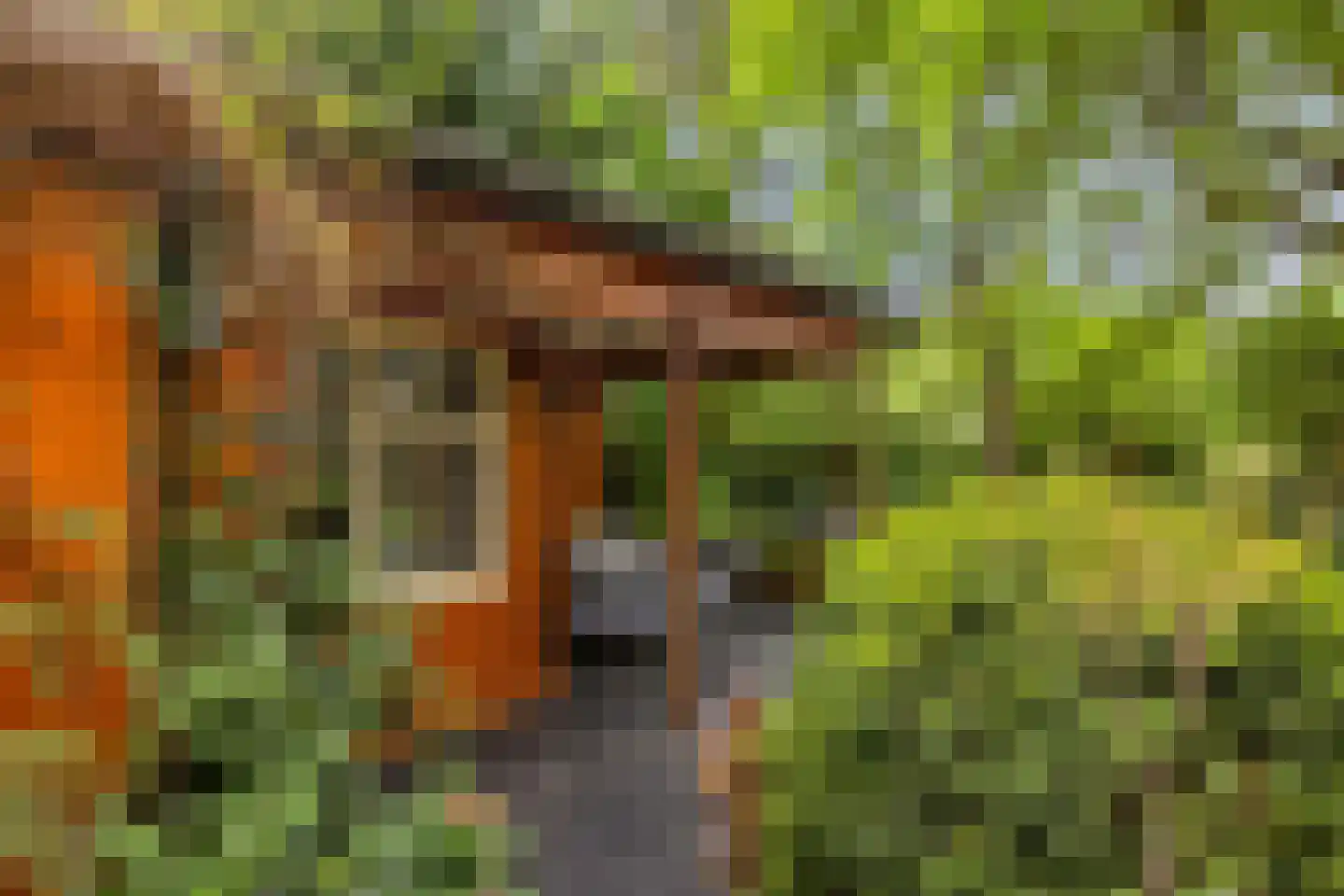 Hanendorperweg 512 067 Emst thumbnail 4