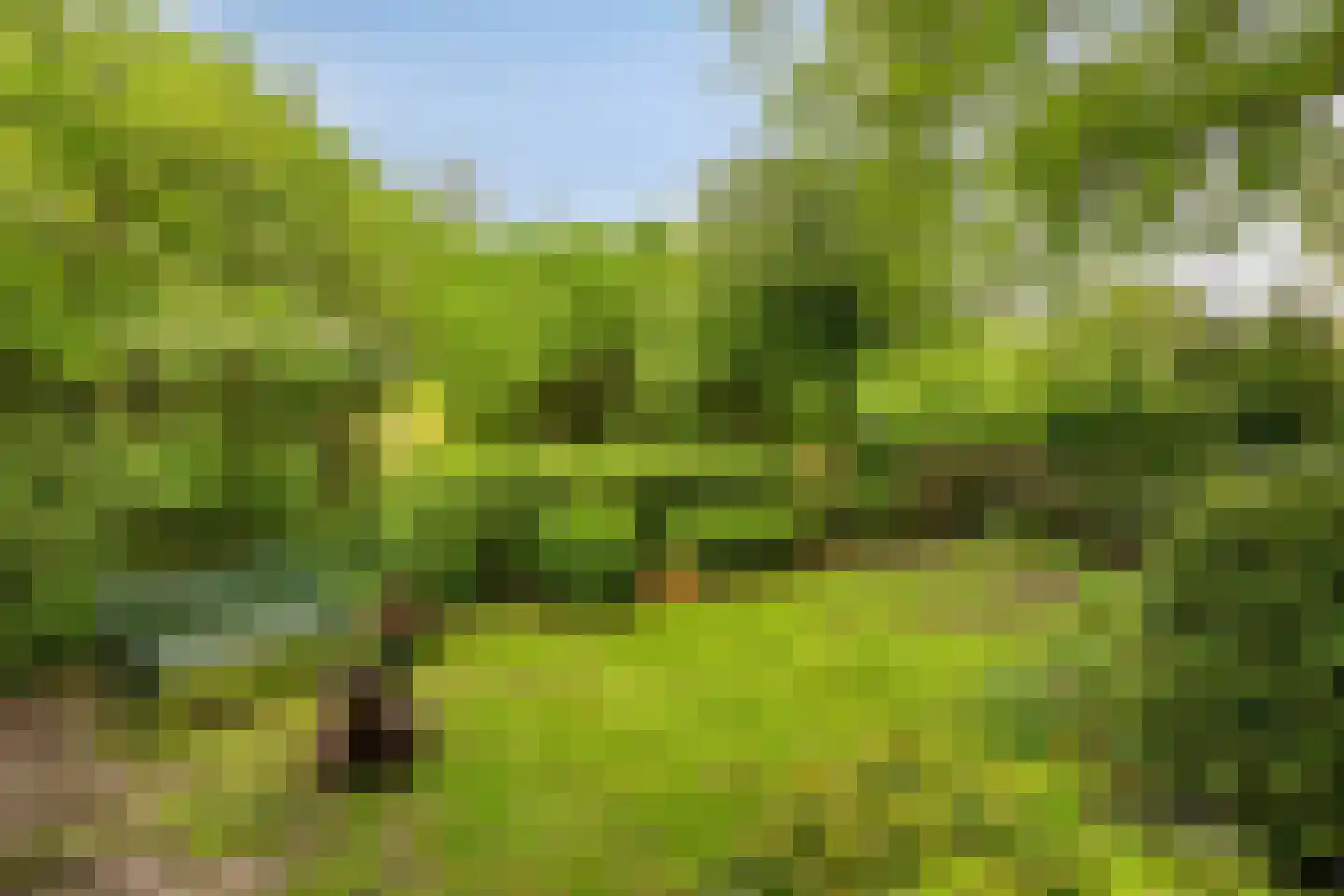 Hanendorperweg 512 067 Emst thumbnail 40