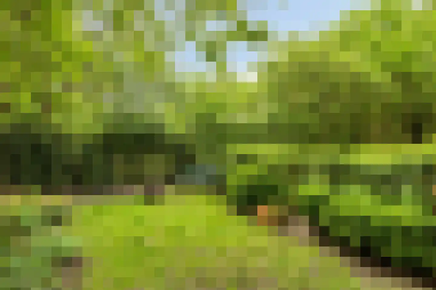 Hanendorperweg 512 067 Emst thumbnail 41