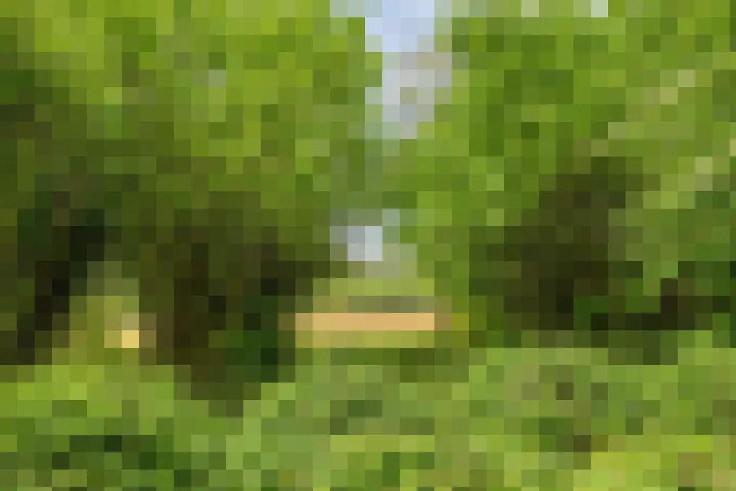 Hanendorperweg 512 067 Emst thumbnail 42