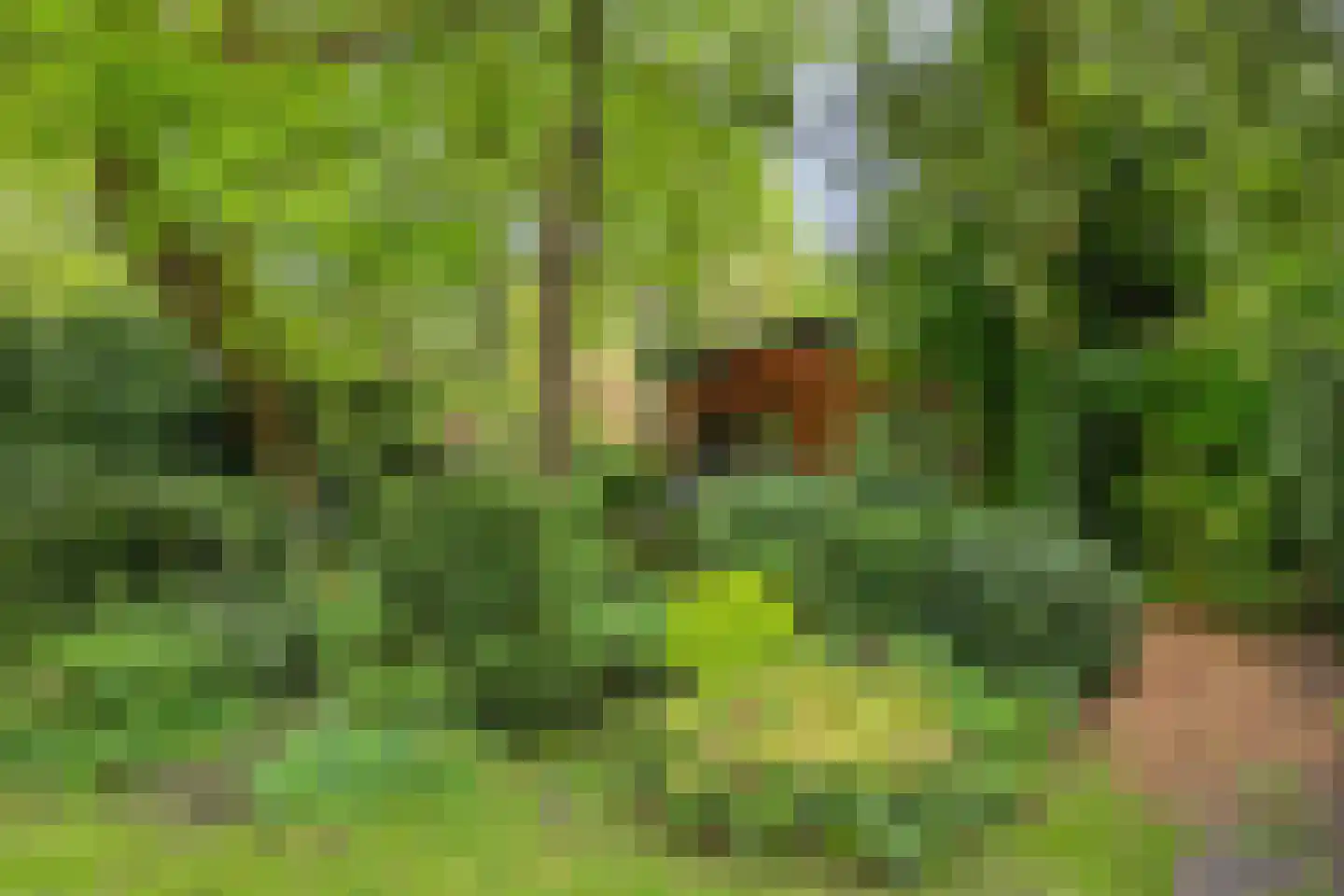 Hanendorperweg 512 067 Emst thumbnail 43