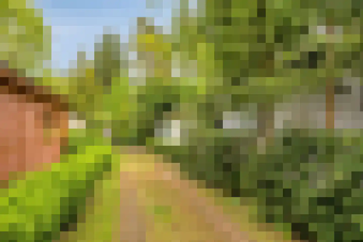 Hanendorperweg 512 067 Emst thumbnail 44