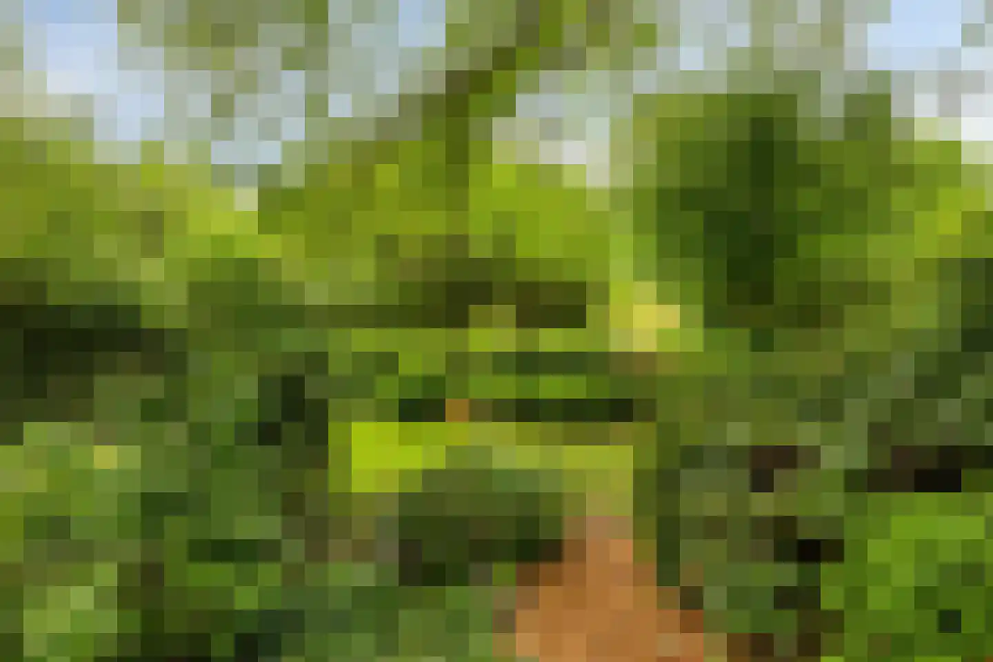 Hanendorperweg 512 067 Emst thumbnail 5