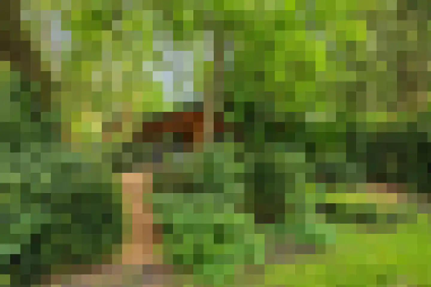 Hanendorperweg 512 067 Emst thumbnail 6