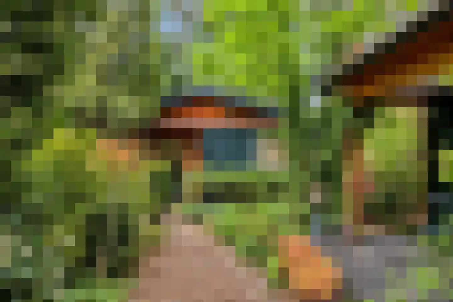 Hanendorperweg 512 067 Emst thumbnail 8