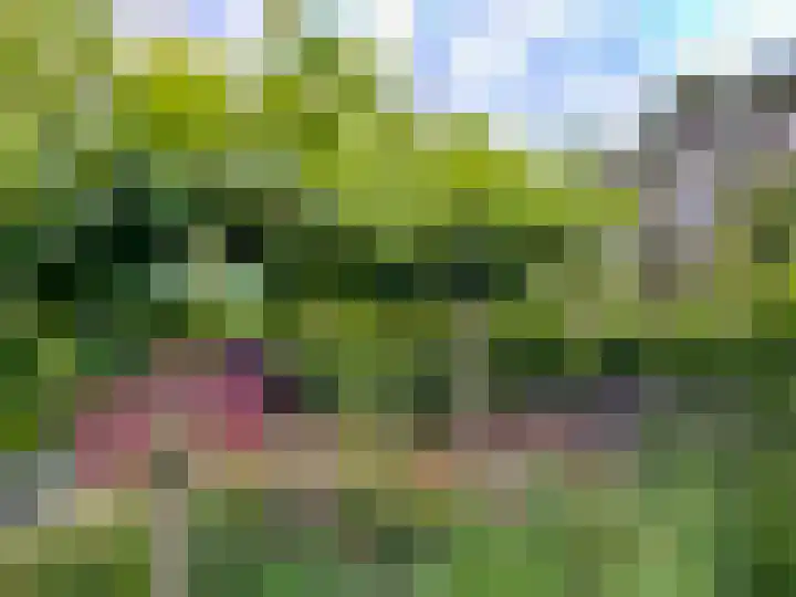 Hanendorperweg 512 114 Emst thumbnail 23
