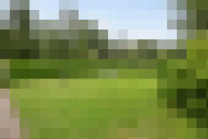 Hanendorperweg 516 010 Emst thumbnail 18