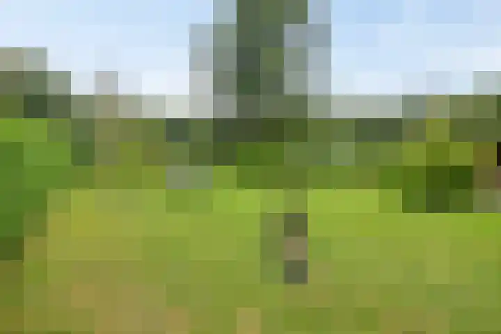 Hanendorperweg 516 010 Emst thumbnail 19