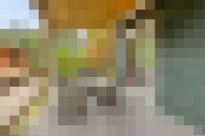 Hanendorperweg 516 010 Emst thumbnail 21