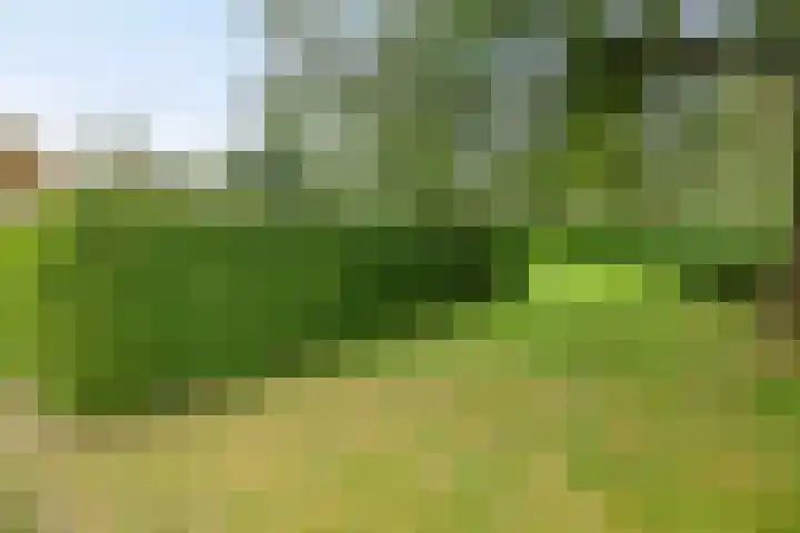 Hanendorperweg 516 010 Emst thumbnail 26