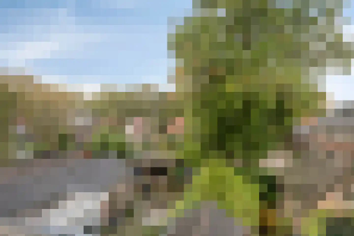 Hanengewei 23 Ermelo thumbnail 35