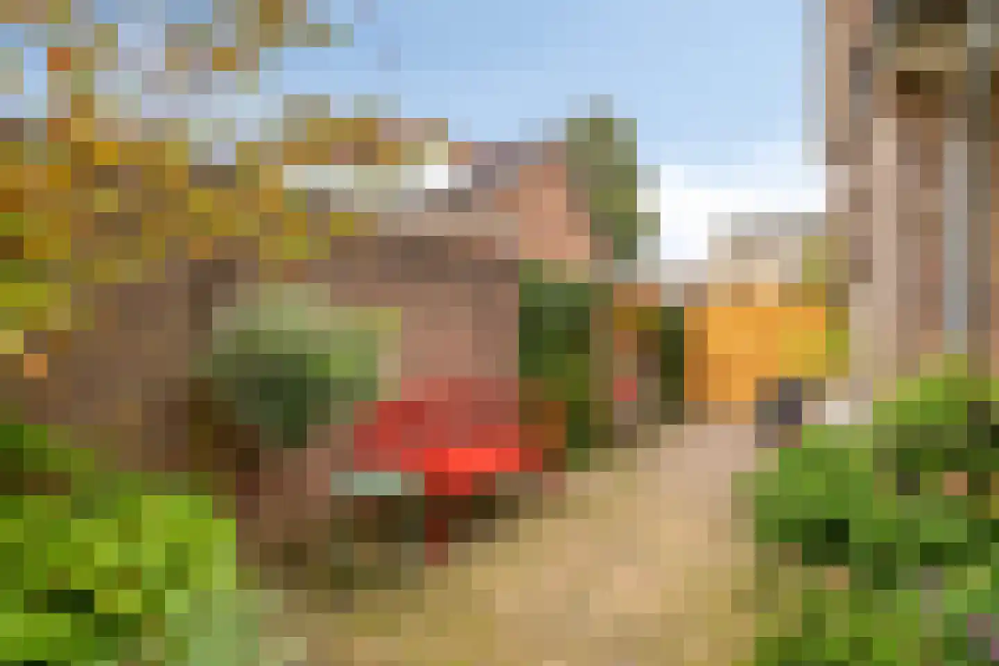Hanengewei 23 Ermelo thumbnail 39
