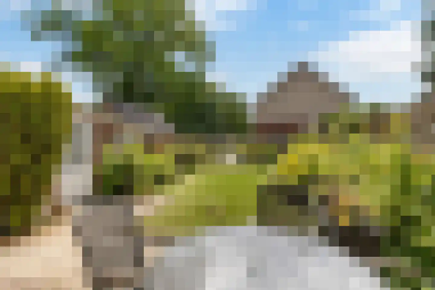 Hanengewei 25 Ermelo thumbnail 18