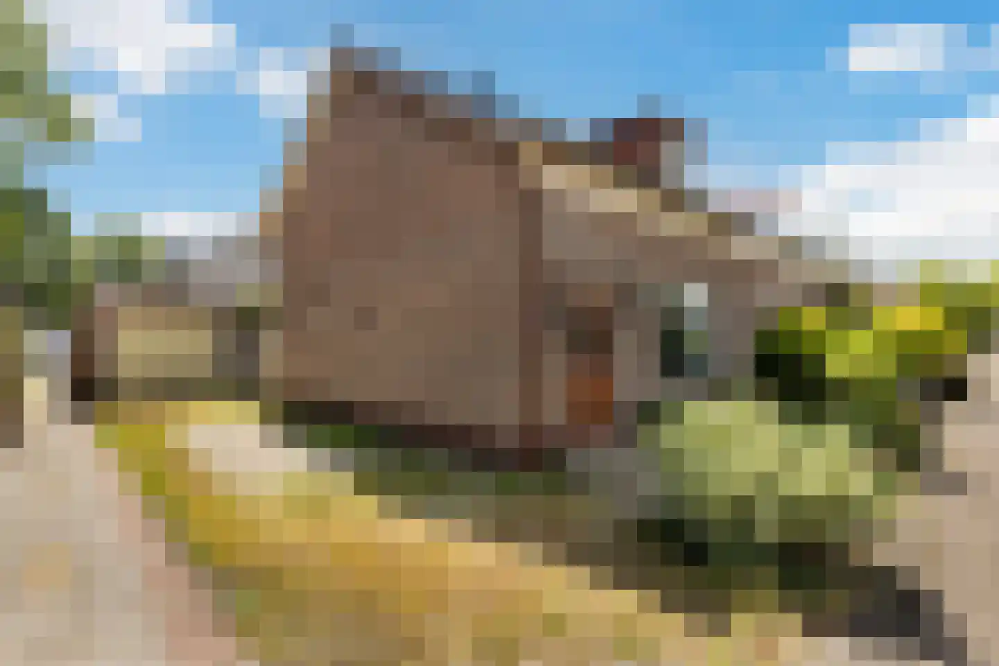 Hanengewei 25 Ermelo thumbnail 27