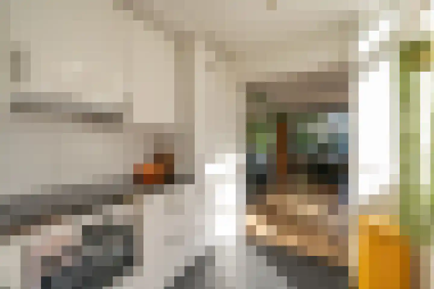 Hanengewei 3 Ermelo thumbnail 25