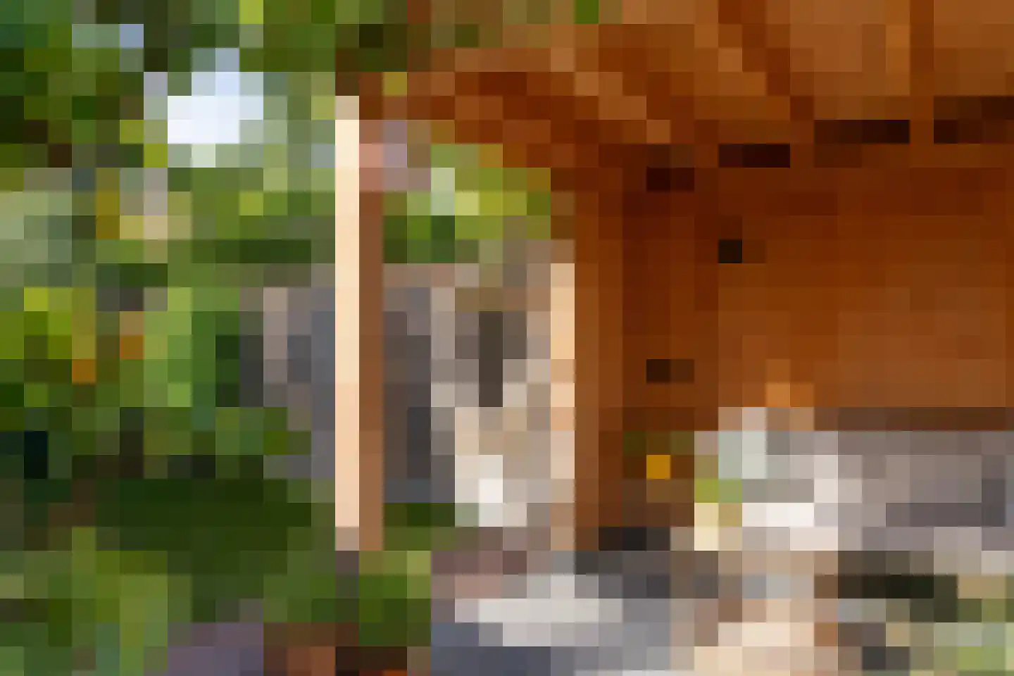 Hanengewei 3 Ermelo thumbnail 49
