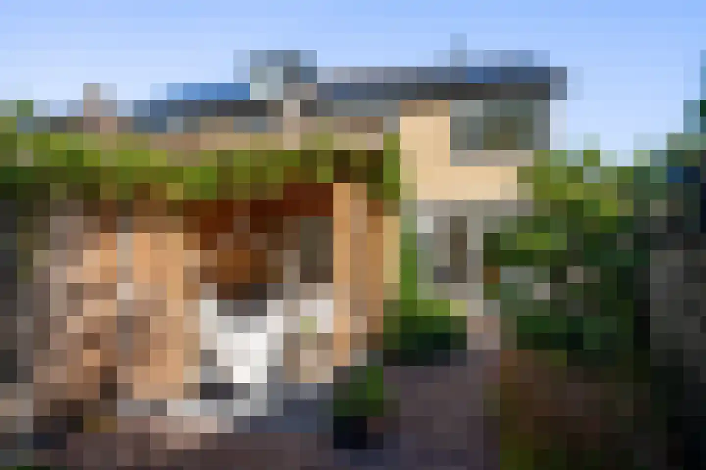 Hanengewei 3 Ermelo thumbnail 50