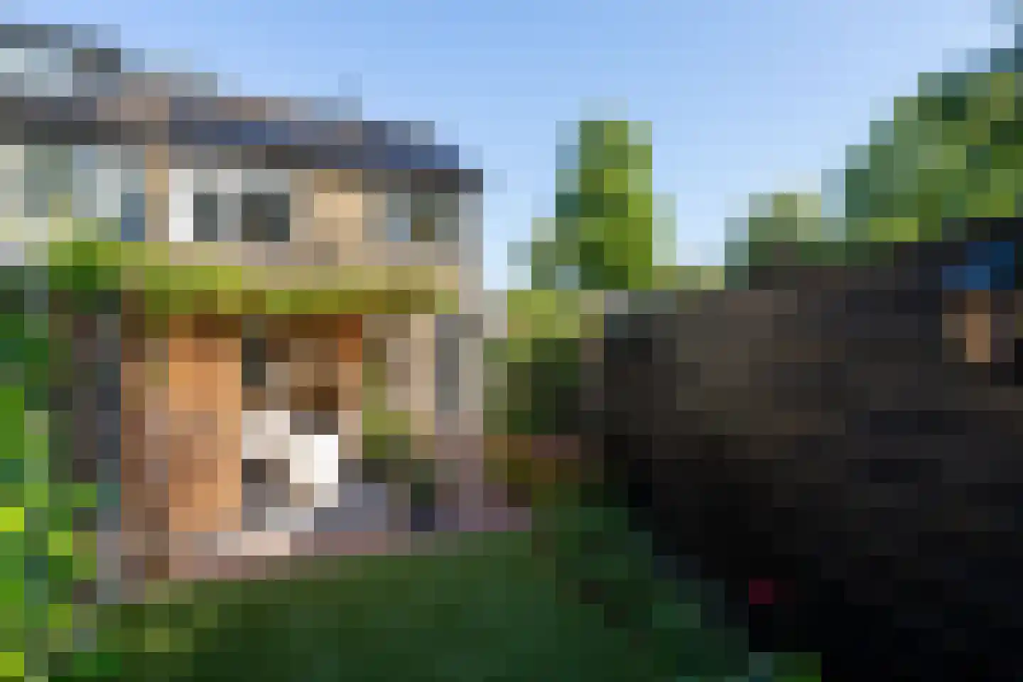 Hanengewei 3 Ermelo thumbnail 51