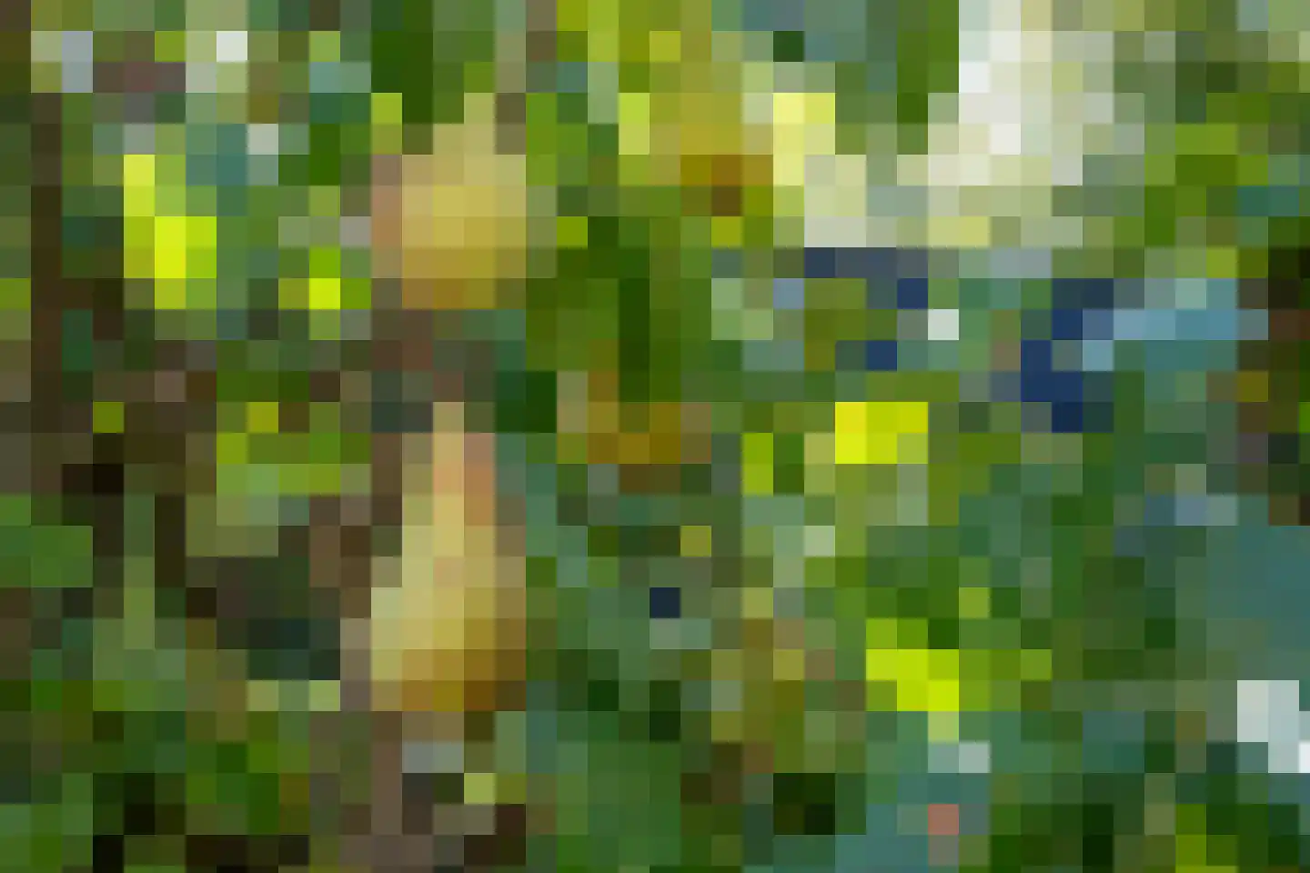 Hanengewei 3 Ermelo thumbnail 52