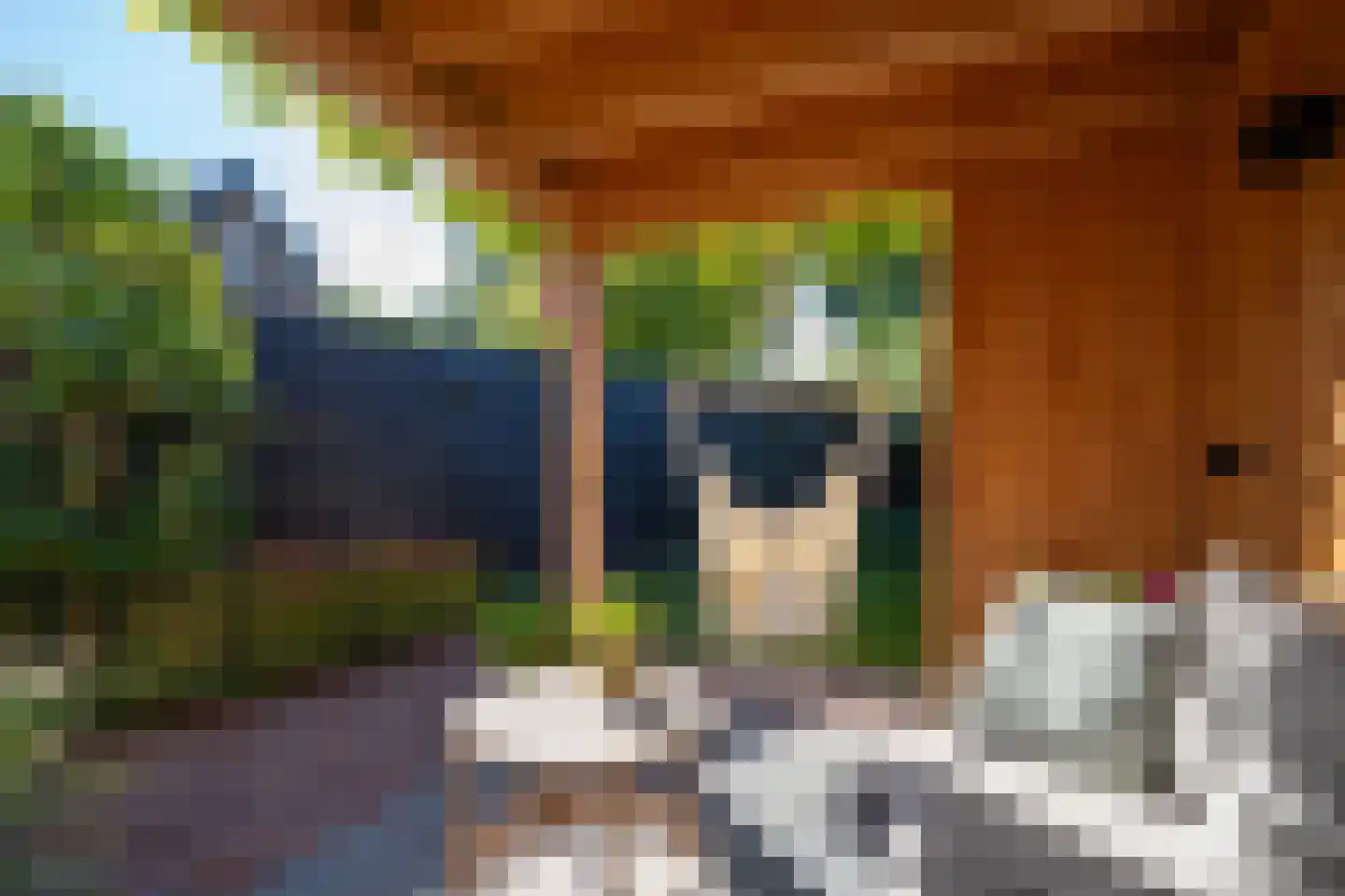 Hanengewei 3 Ermelo thumbnail 54