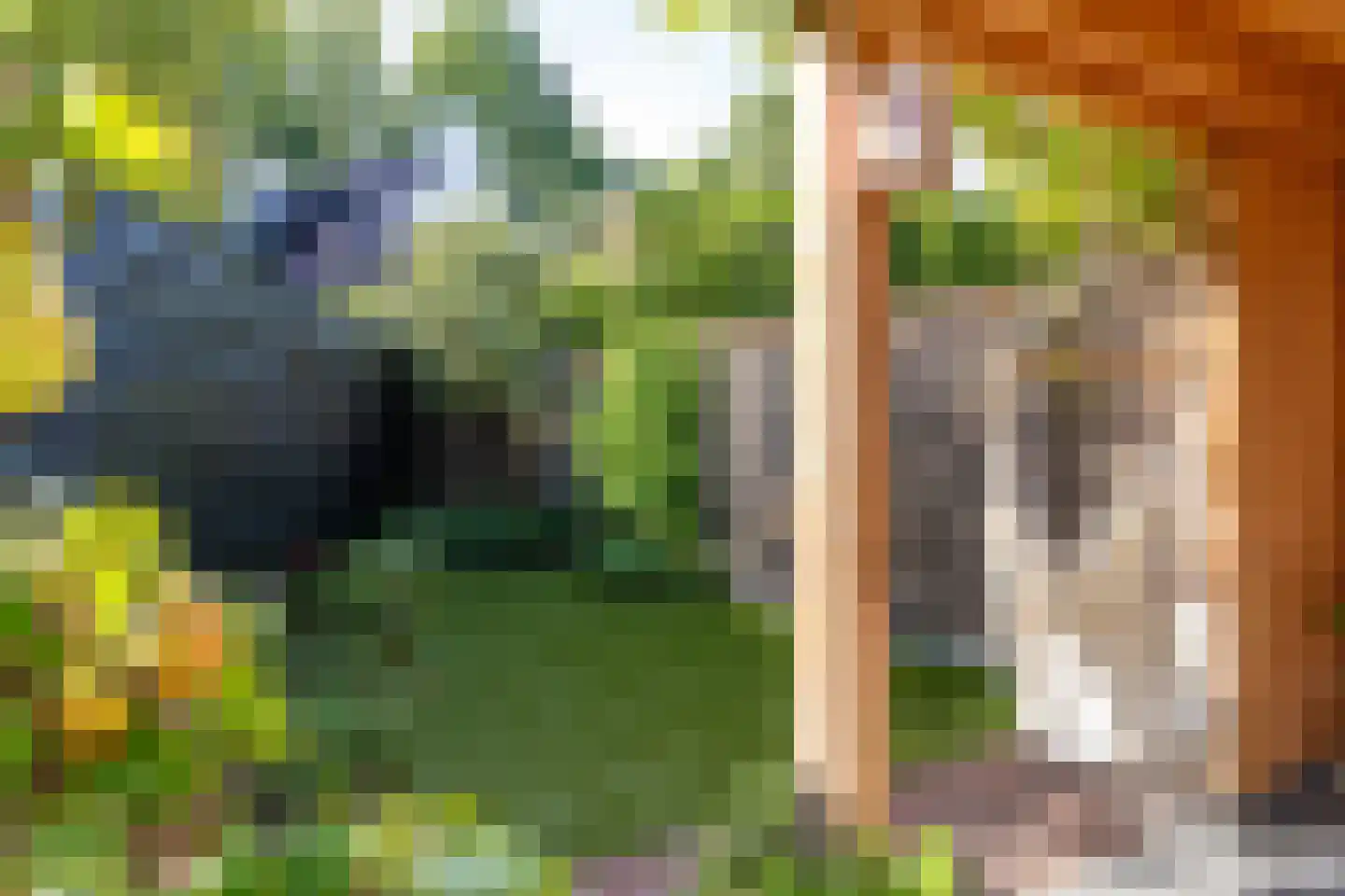 Hanengewei 3 Ermelo thumbnail 55