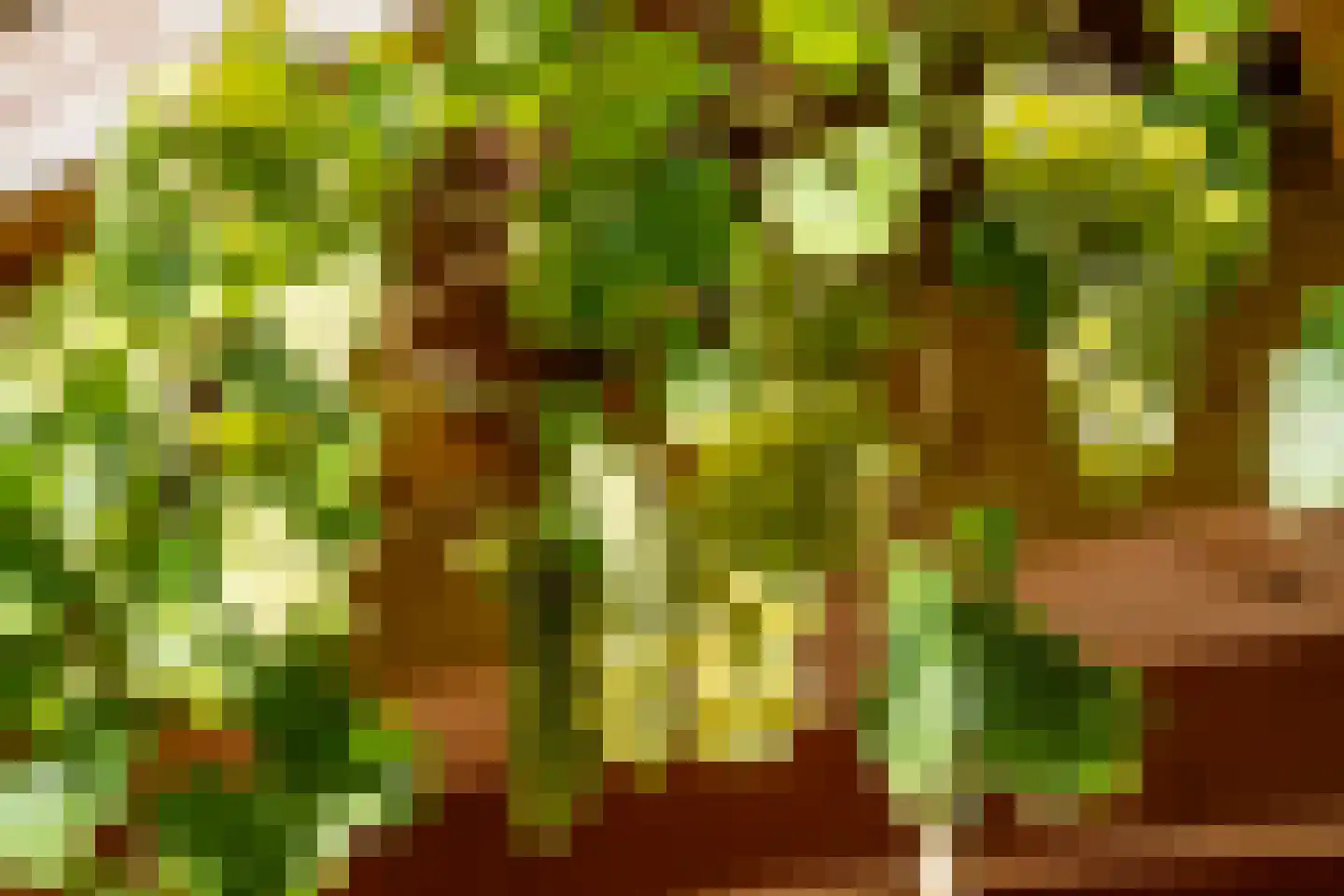 Hanengewei 3 Ermelo thumbnail 57