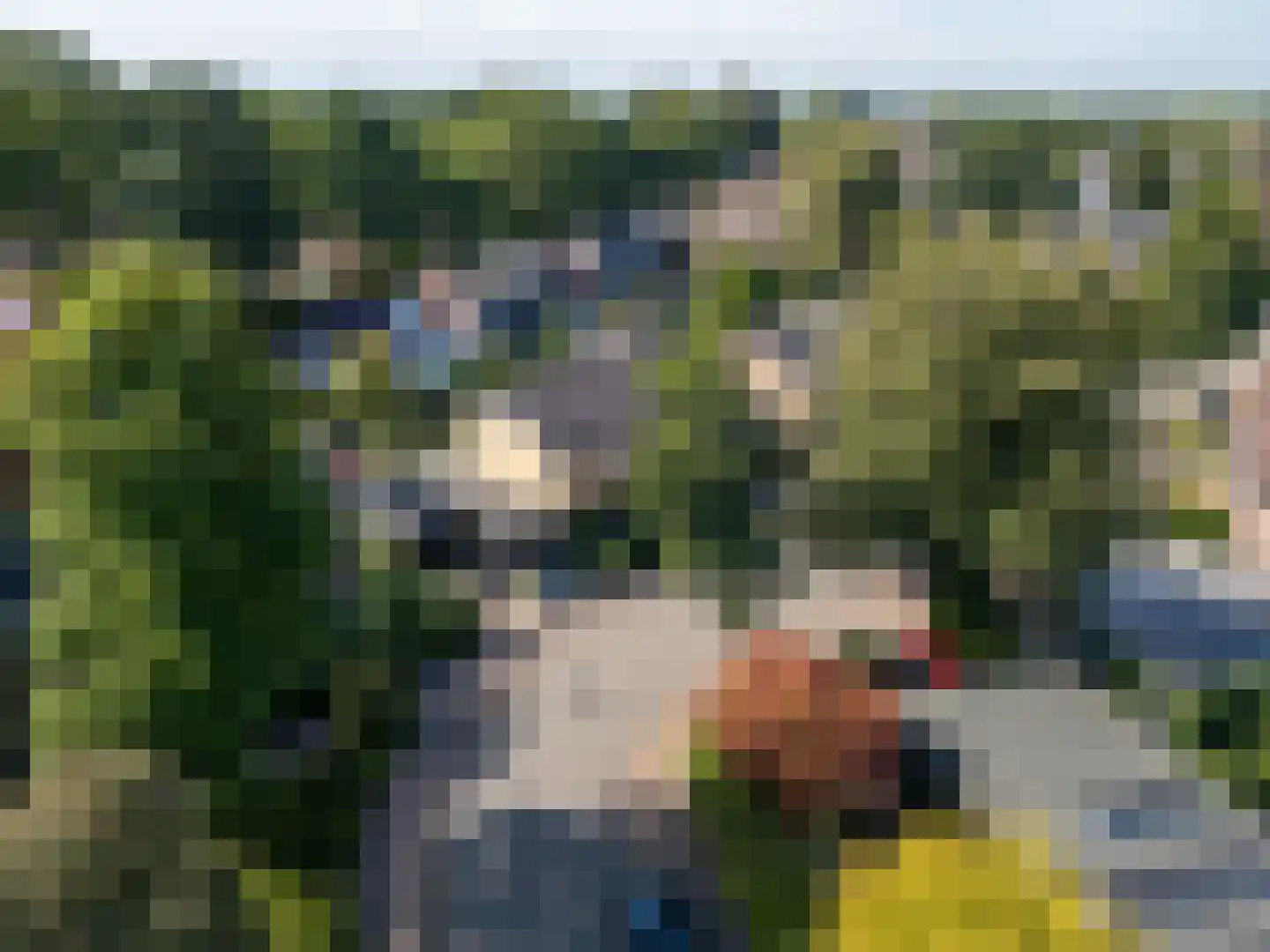 Hanengewei 3 Ermelo thumbnail 6
