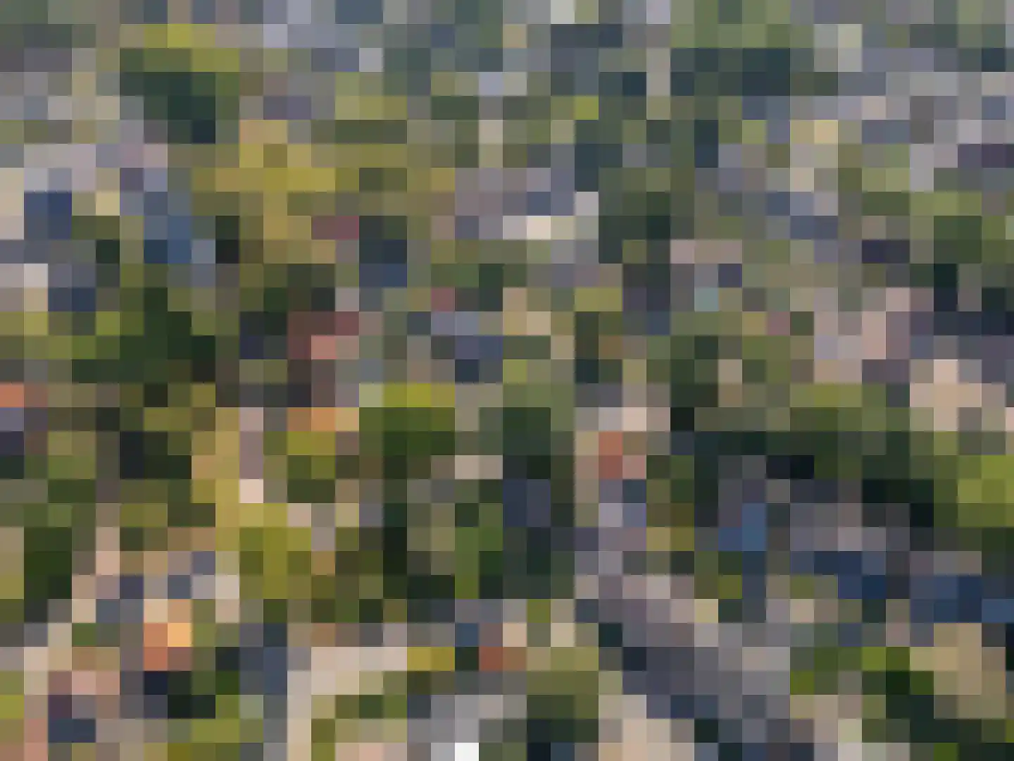 Hanengewei 3 Ermelo thumbnail 60