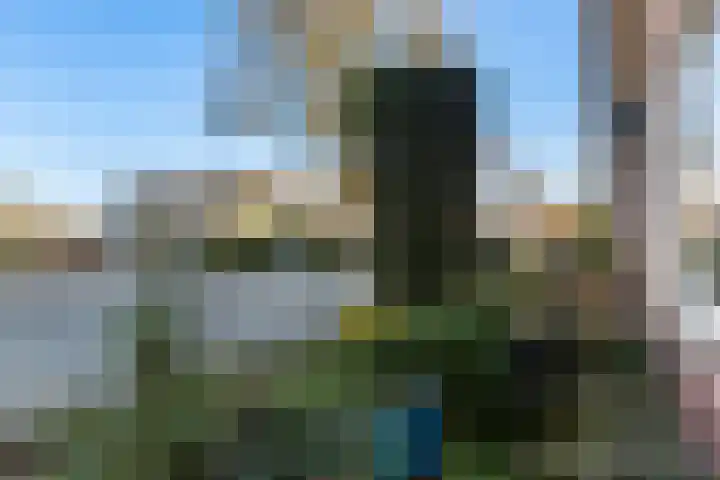 Hanengewei 35 A Ermelo thumbnail 5