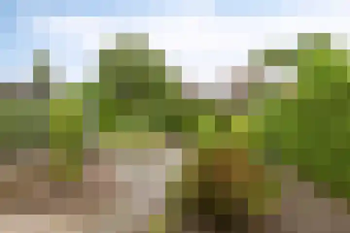 Hanenhoek 10 Zelhem thumbnail 28