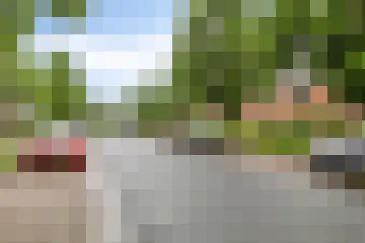 Hanenhoek 10 Zelhem thumbnail 29