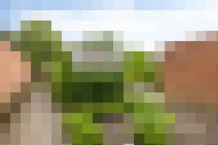 Hanenhoek 10 Zelhem thumbnail 4