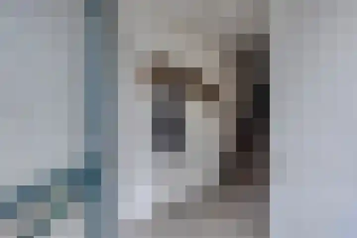 Hanenhoek 10 Zelhem thumbnail 7
