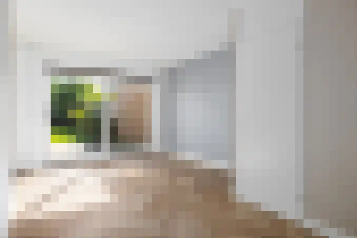Hanenhoek 7 Zelhem thumbnail 17