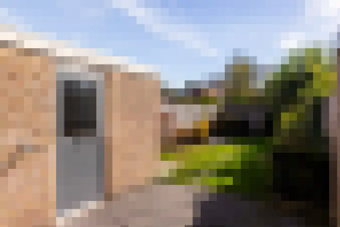 Hanenhoek 7 Zelhem thumbnail 20