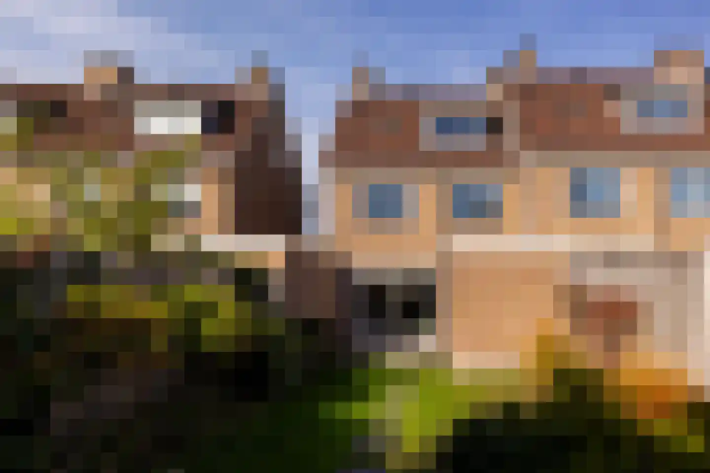 Hanenhoek 7 Zelhem thumbnail 22
