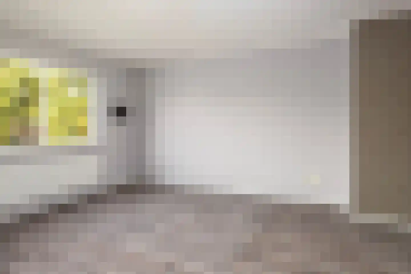 Hanenhoek 7 Zelhem thumbnail 30