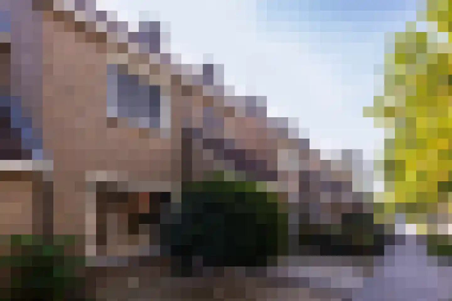 Hanenhoek 7 Zelhem thumbnail 7