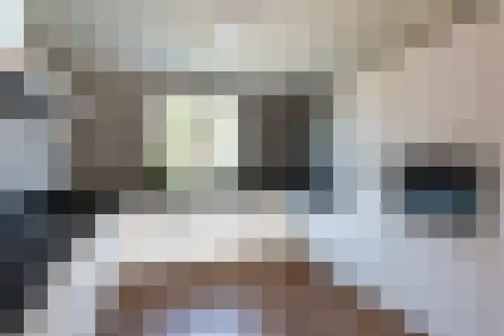 Hanenhof 35 De Zilk thumbnail 14