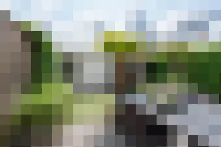 Hanenhof 35 De Zilk thumbnail 18