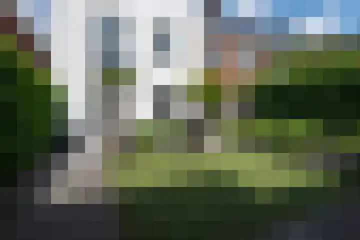 Hanenhof 35 De Zilk thumbnail 20