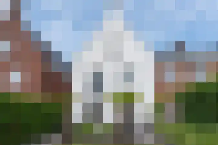 Hanenhof 35 De Zilk thumbnail 21