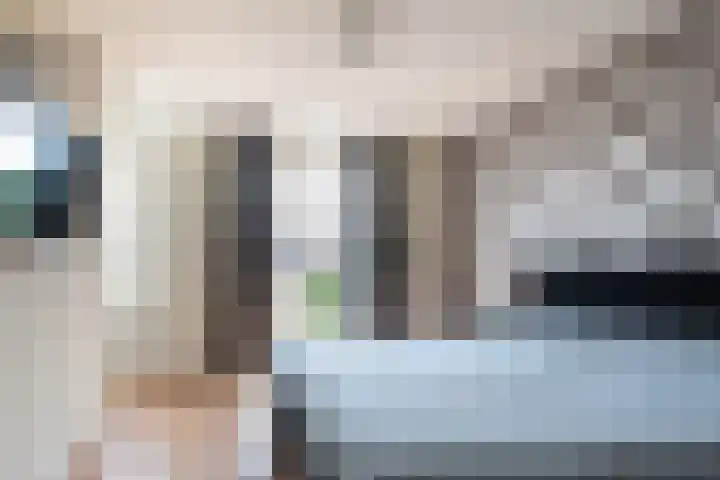 Hanenhof 35 De Zilk thumbnail 24